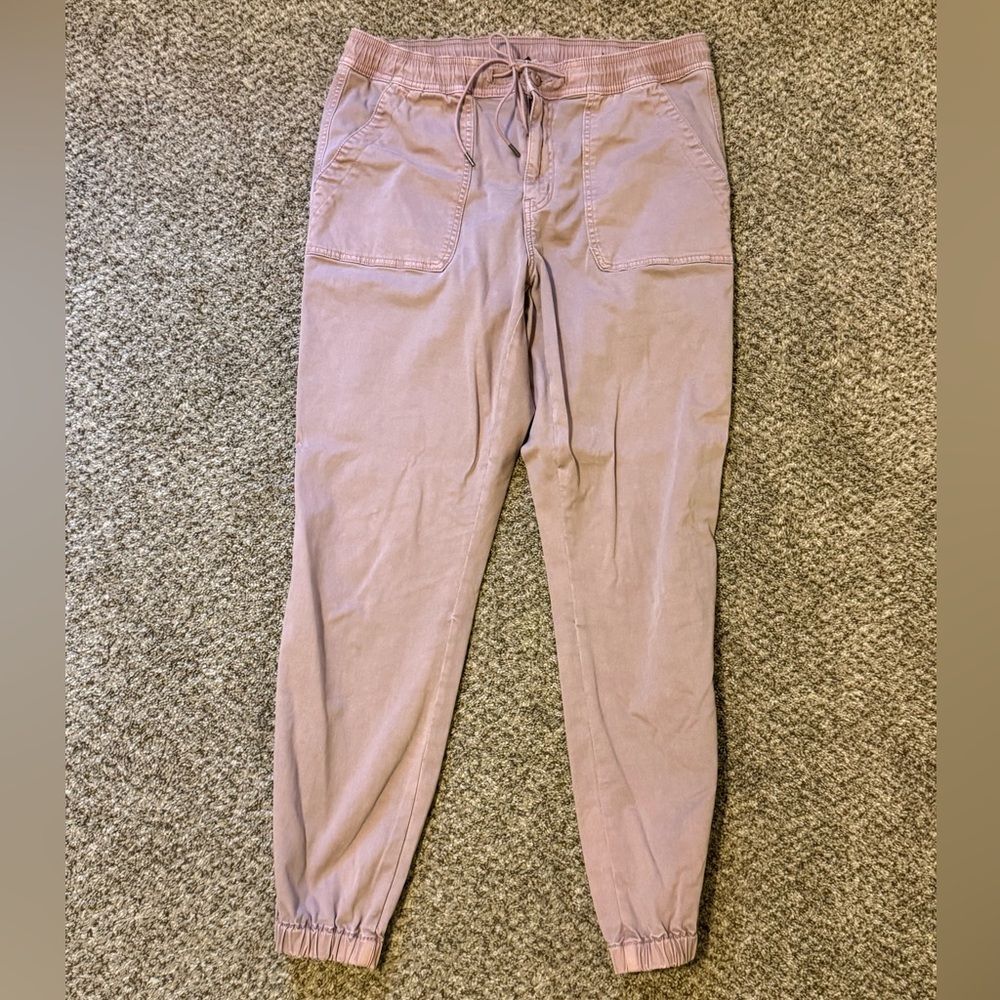 American Eagle Outfitters Mauve Joggers